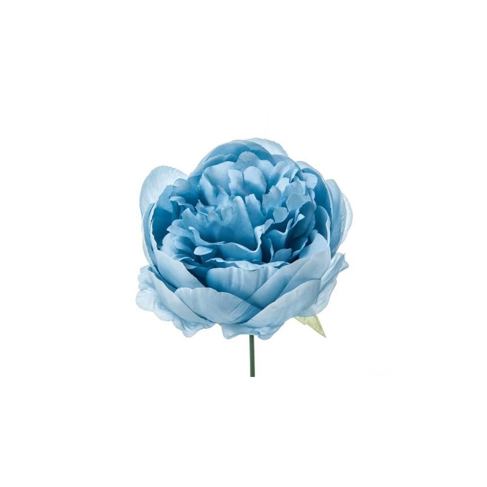 PICK PEONIA BLU' H19 D11